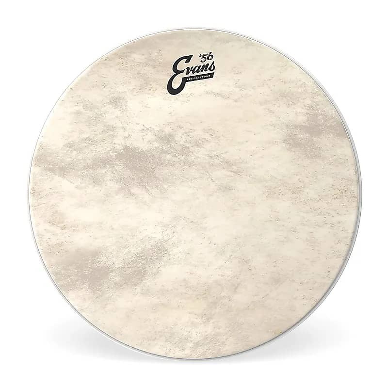 BD24GB4CT EQ4 Calftone Bass Drum Head - 24"